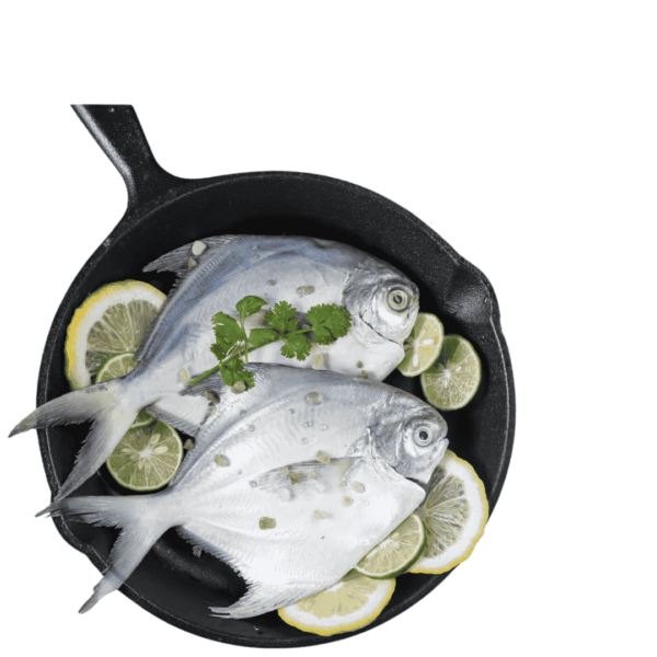 White Pomfret (6-8 pc)-1kg