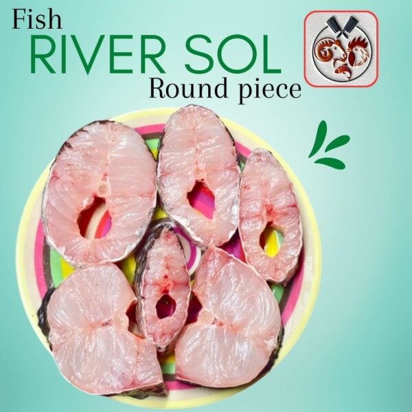 River Sol (Repti) 1kg